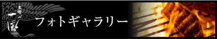 フォトギャラリー